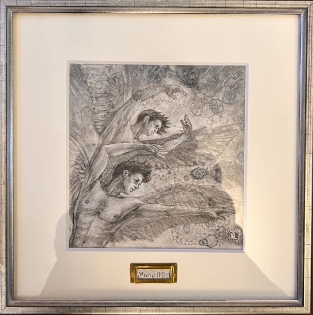 Winged Species有翼