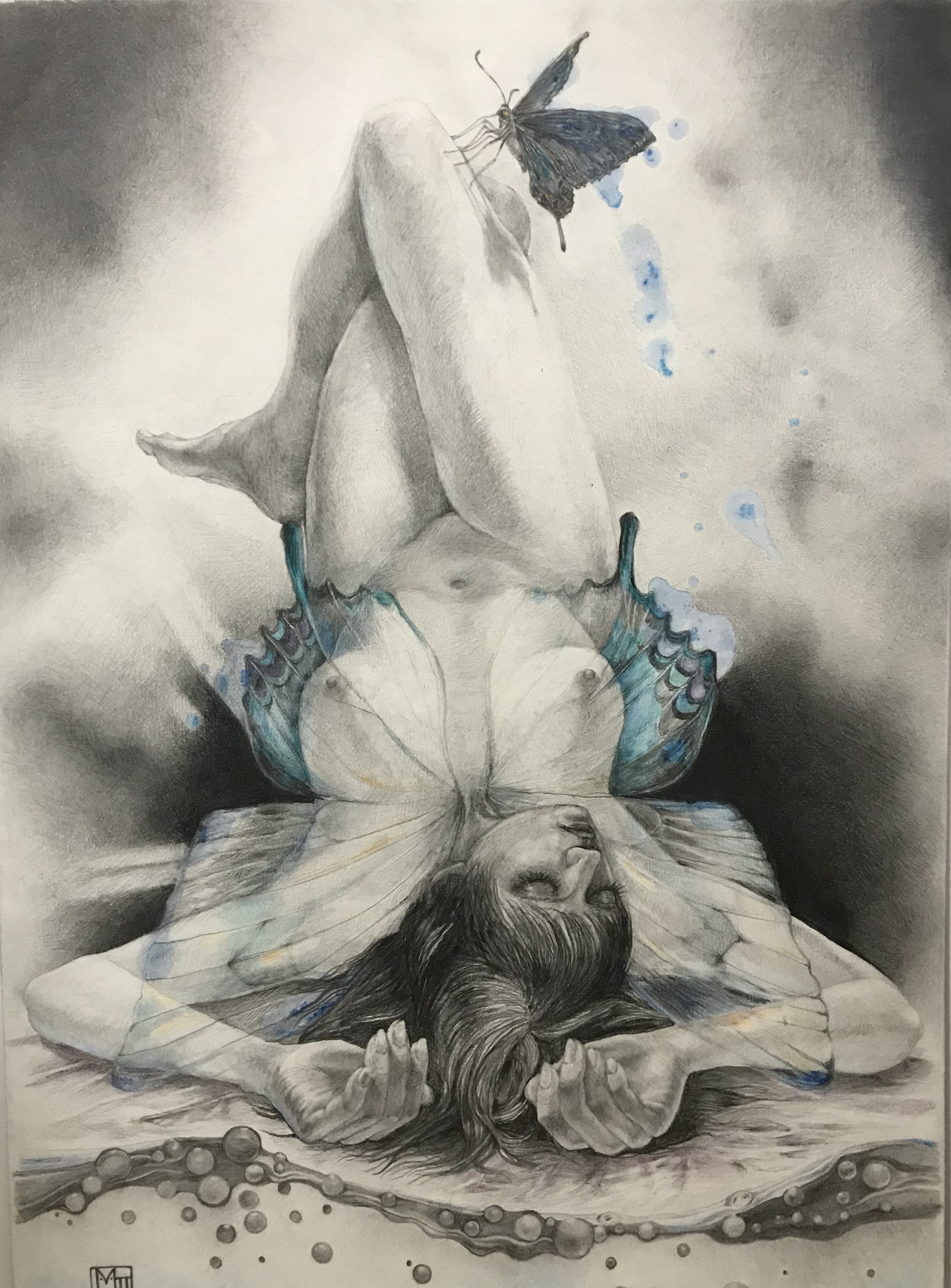 そして羽化する