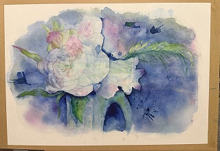 芍薬